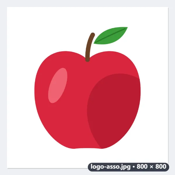 Exemple : cinq images WebP pour le bulletin de l’association de parents, en JPG — Après